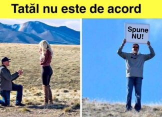 20 de fotografii care par obișnuite până când dai zoom