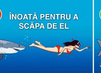 17 Lucruri uimitoare care par a fi false la prima vedere