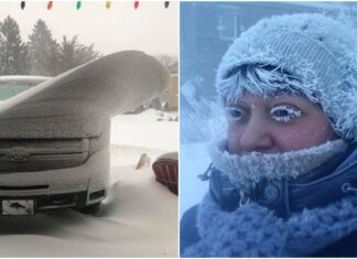 20+ fotografii care arată puterea fascinantă a zăpezii