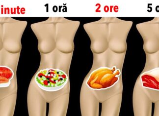De cât timp au nevoie alimente pentru a fi digerate și de ce este important să știți asta