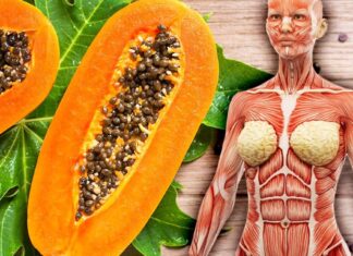 7 lucruri care se pot întâmpla corpului tău dacă mănânci papaya o dată pe săptămână