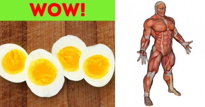 hh