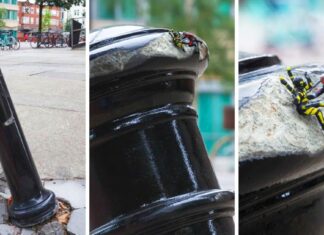 Cele mai bune 26 de acte de vandalism care îți vor face ziua mai frumoasă