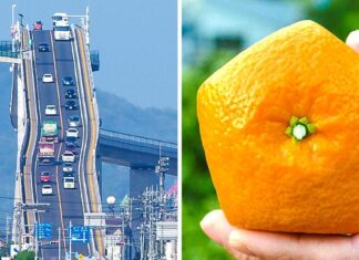 15 lucruri uimitoare care demonstrează că Japonia este cu o sută de pași în fața lumii