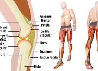 Oamenii de știință explică ce se întâmplă cu corpul tău dacă mergi pe jos în fiecare zi