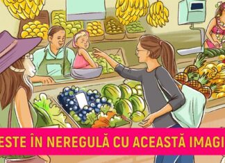 TEST: Găsiți toate erorile din aceste 10 ilustrații