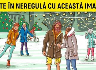 TEST: Găsiți toate erorile din aceste 11 ilustrații