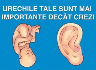 Ce dezvăluie urechile tale despre tine