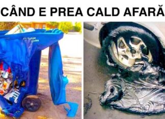 30 de fotografii care pot fi descrise doar ca: „Nu cred până nu văd!”