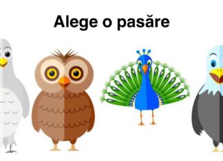 TEST: Alege o pasăre și vezi ce spune alegerea ta despre personalitatea ta