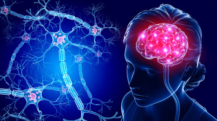 1030_neuron_explainer_feat