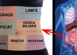 Cum să detoxifiezi fiecare organ din corpul tău și să câștigi lupta împotriva bolilor sau a oboselii