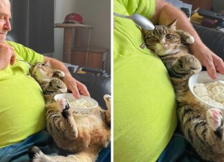 18 Tătici care au spus „NU” animalelor de companie, dar care au ajuns să le iubească mai mult decât credeau
