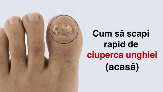 245499213
