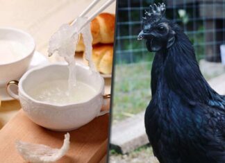 Acestea sunt cele mai scumpe ingrediente care există pe Pământ!