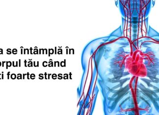 8 Lucruri care se întâmplă în corpul tău când ești foarte stresat