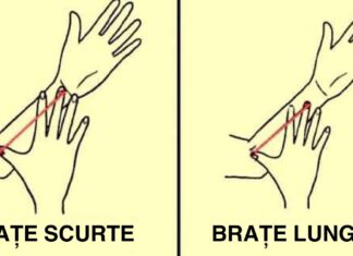 TEST: Ce spune dimensiunea brațului tău despre personalitatea ta?