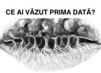 TEST: Ce ai văzut prima dată în imagine? Alegerea ta îți dezvăluie personalitatea