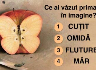 TEST: Ceea ce vezi mai întâi în această imagine îți dezvăluie care este frica ta subconștientă