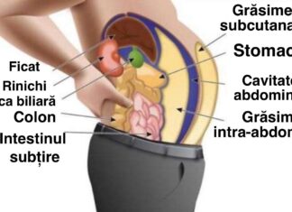 Toxinele din celulele tale de grăsime te îmbolnăvesc și te balonează! Iată cum poți scăpa de ele!