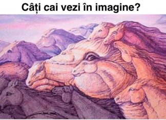 TEST: Câți cai vezi în această imagine? Vezi ce spune alegerea ta despre tine