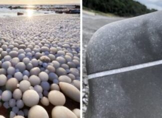 21 De imagini care arată puterea incomparabilă a naturii