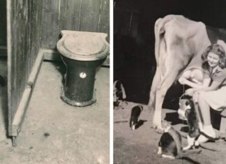 20 De fotografii din cele mai vechi timpuri pe care foarte puțini oameni le-au văzut