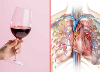 Asta se întâmplă în corpul tău dacă bei un pahar de vin zilnic