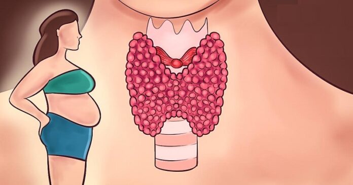 10-signs-body-much-estrogen-start-flushing-immediately