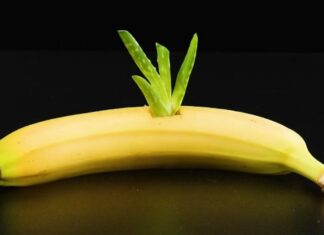 Acesta este motivul pentru care ar trebui să puneți o plantă de aloe vera într-o banană