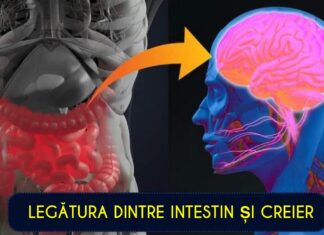 Vindecă-ți intestinul, vindecă-ți creierul: cum poate hrănirea microbiomului tău intestinal să te scape de anxietate și depresie (și cum să faci asta)