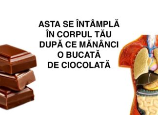 Ce se întâmplă în corpul tău după ce mănânci o bucată de ciocolată