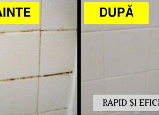 Cum să cureți rosturile gresiei rapid și eficient
