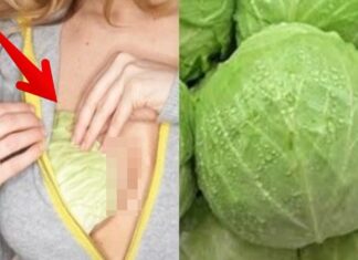 11 Utilizări uimitoare ale frunzelor de varză (pe care nimeni nu le știe)