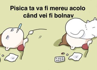 21 de Ilustrații amuzante: Care sunt beneficiile pe care le aduce o pisică în viața ta