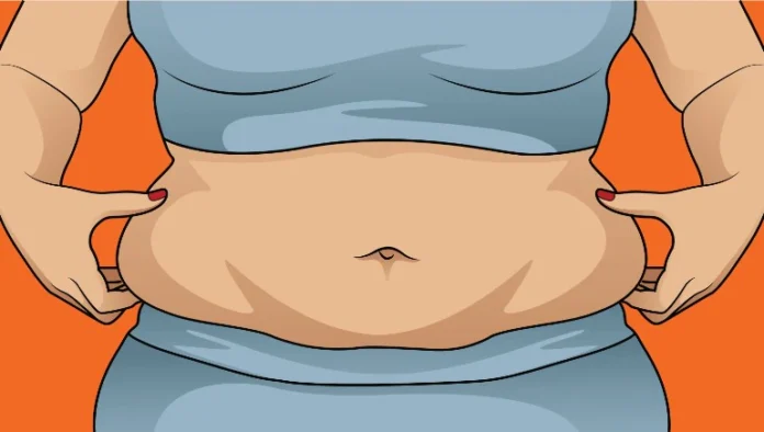 Belly-fat-