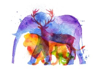 Ce animal observi prima dată? Un simplu test al puterii tale interioare