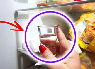 Trucul magic pentru a elimina toate mirosurile neplăcute din frigider