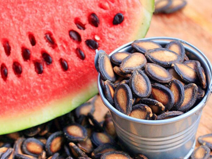 watermelon-seeds-cover-utkal-today