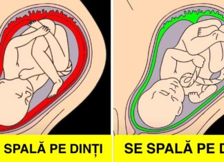Acesta este modul în care spălatul pe dinți îți ajută întregul corp, nu doar dinții