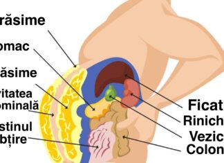 Cum să elimini toxinele din celulele adipoase care te obosesc și te îngrașă