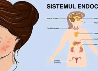 5 Alimente care îți distrug hormonii și pielea. Evită-le cât mai des!