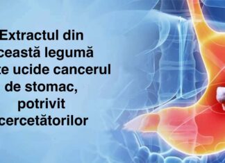 Extractul din această legumă poate ucide cancerul de stomac, potrivit cercetătorilor