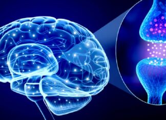 Cum să îți îmbunătățești rapid atât sănătatea fizică cât și cea psihică prin creșterea nivelului de serotonină. Și cum să-ți determini corpul să producă mai multă serotonină astfel!