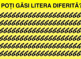 Test: Cât de bună este vederea ta? Poți găsi elementele ascunse în aceste imagini?