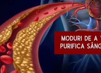 Secretul pentru o sănătate de fier- Curățarea sângelui. Cum să vă curățați sângele: 10 moduri sănătoase de a vă purifica sângele