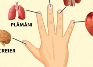 Fiecare deget este conectat la 2 organe: metoda japoneză de vindecare în 5 minute!