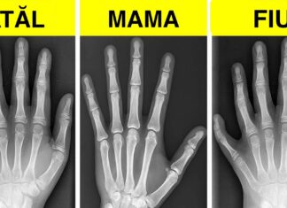 15 Curiozități aleatorii care te vor lăsa mut de uimire