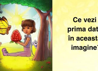 Test psihologic: Imaginea pe care o vezi prima dată dezvăluie părți ascunse ale personalității tale
