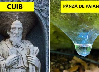 17 Fotografii în care natura ne-a uimit în cel mai frumos mod. Fotografia cu nr. 6 sigur te va încânta!